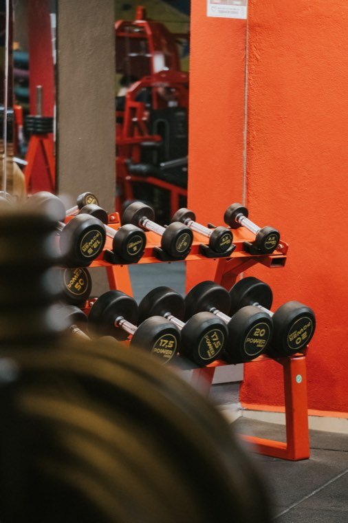 Fitness — Gain Spor Kompleksi